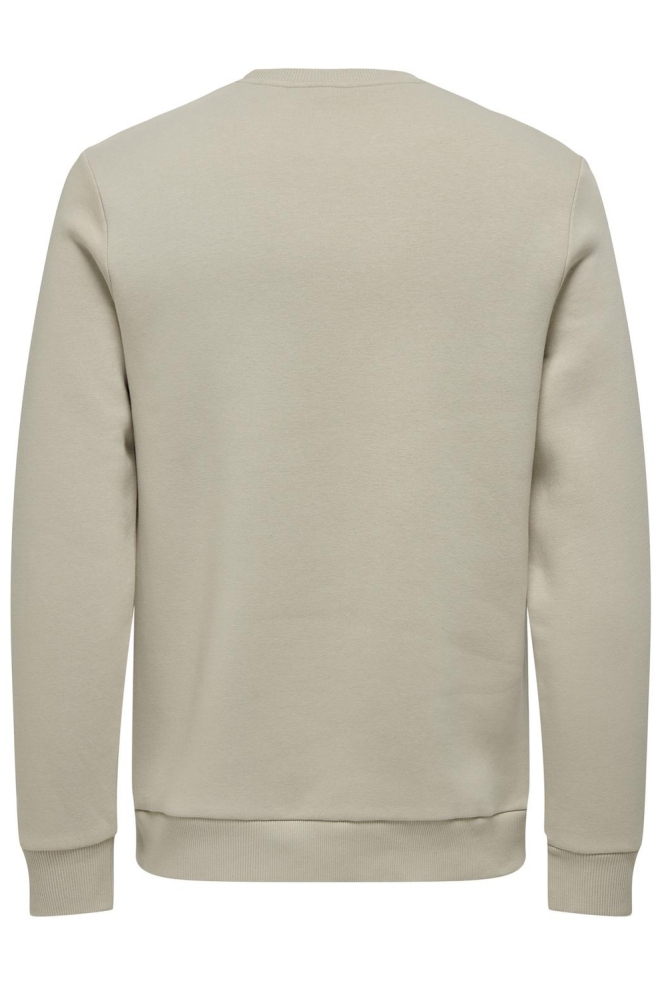 ONSCERES CREW NECK NOOS 22018683 Silver Lining